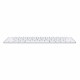 APPLE/MAC MK2A3F/A APLCL039235 APPLE Clavier Magic sans fil Bluetooth FR