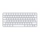 APPLE/MAC MK2A3F/A APLCL039235 APPLE Clavier Magic sans fil Bluetooth FR