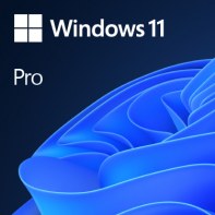 MICLG038290 WINDOWS 11 PRO 64Bit FR 1PK OEM DVD