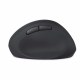 PERIXX PERIMICE-719 PERSO028119 PERIMICE-719 Souris Ergonomique Verticale Sans Fil