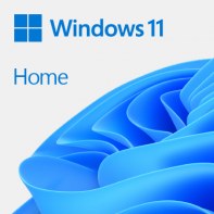 MICLG038289 WINDOWS 11 HOME 64Bit FR 1PK OEM DVD