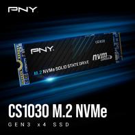 PNYDD039486 PNY CS1030 M.2 NVME 250Go - PCIE GEN3 X4 - 2500/1100MBPS
