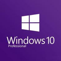 MICLG024313 Windows 10 Pro 64Bit French 1pk DSP OEI DVD