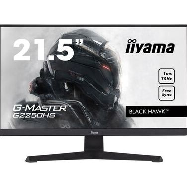 IIYAMA G2250HS-B1 IIYEC040906 21.5p VA FHD 1ms 250cd/m² HDMI/DP 2x2W Noir