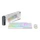 MSI VIGOR GK30 COMBO WHITE FR MSICL038811 MSI VIGOR GK30 COMBO - CLAVIER + SOURIS - USB - RGB - GAMER - BLANC