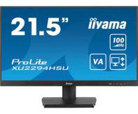 IIYEC043746 21.5p VA FHD 1ms 250cd/m² HDMI/DP 2xUSB 2x2W Noir