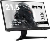 IIYEC045761 21.5p IPS FHD 1ms 300cd/m² HDMI/DP 2xUSB 2x2W Noir