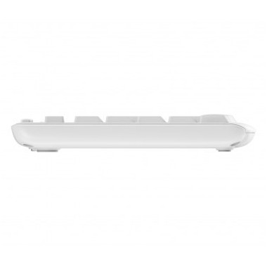 LOGCL038885 Wireless Combo MK295 WHITE boite