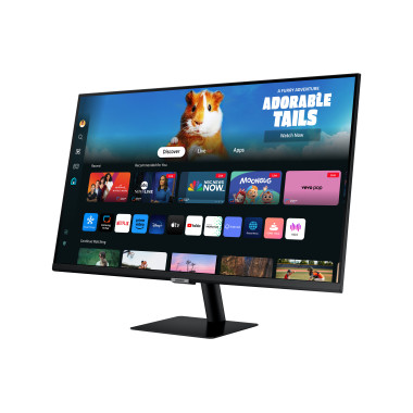 SAMSUNG LS27DM500EUXEN 27p FHD VA 60Hz