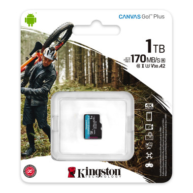 KINGSTON 1To microSDXC Canvas Go Plus SP