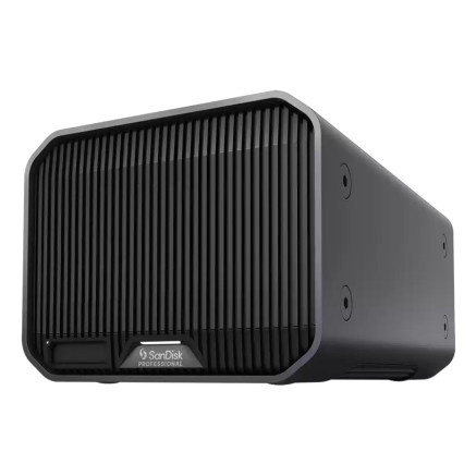 SANDISK Prof. G-RAID Mirror 2 48To