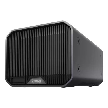 SANDISK Prof. G-RAID Mirror 2 48To