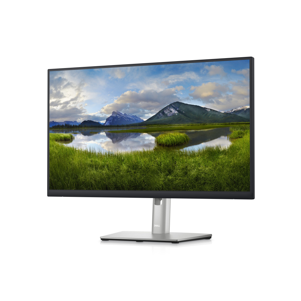 Dell P2423DE -  cran LED - 24" (23.8" visualisable) - 2560 x 1440 QHD   60 Hz - IPS - 300 cd m  - 1000 1 - 5 ms - HDMI, Displ