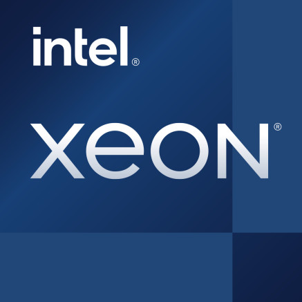 INTEL Xeon W-1350P 4.0GHz LGA1200 Tray