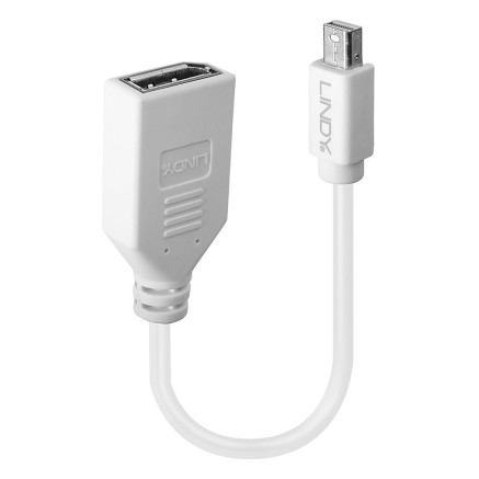 LINDY CÃ¢ble adaptateur Mini DP M vers