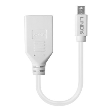 LINDY CÃ¢ble adaptateur Mini DP M vers