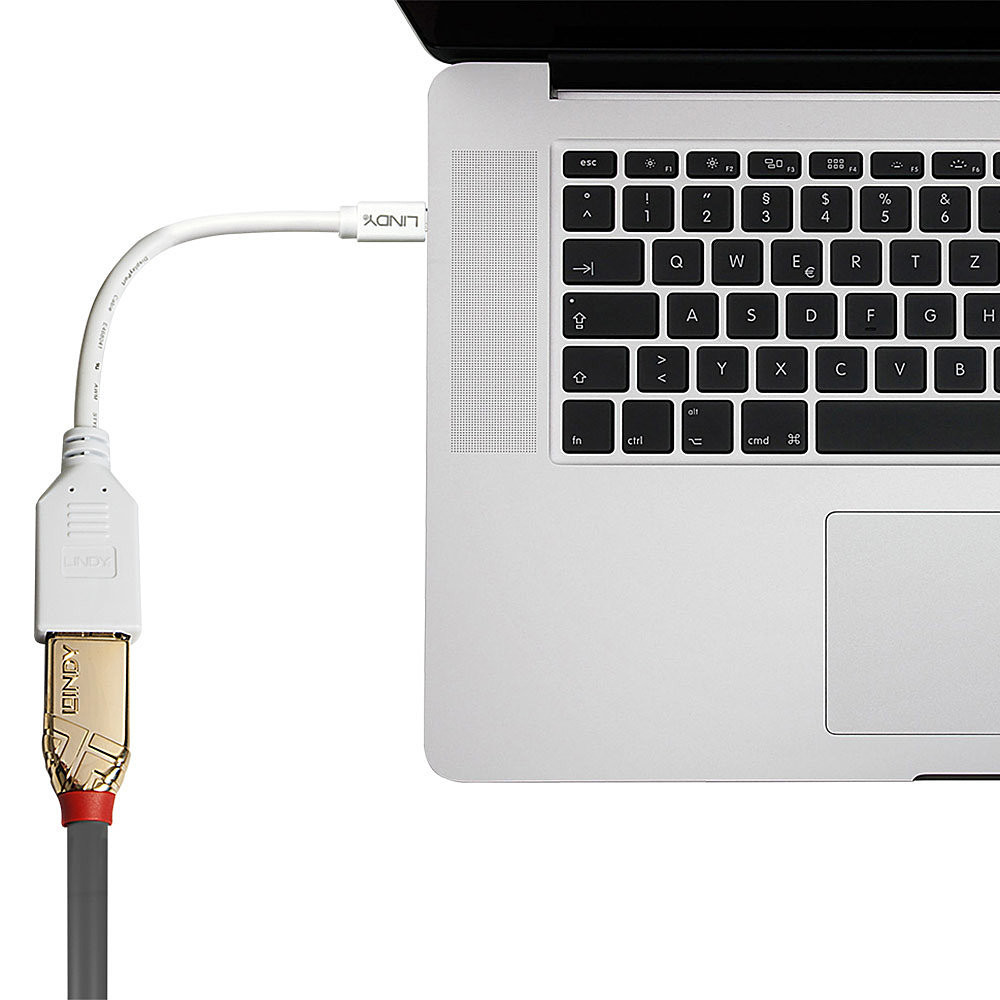 LINDY CÃ¢ble adaptateur Mini DP M vers