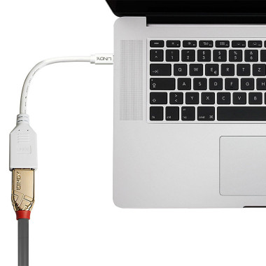 LINDY CÃ¢ble adaptateur Mini DP M vers