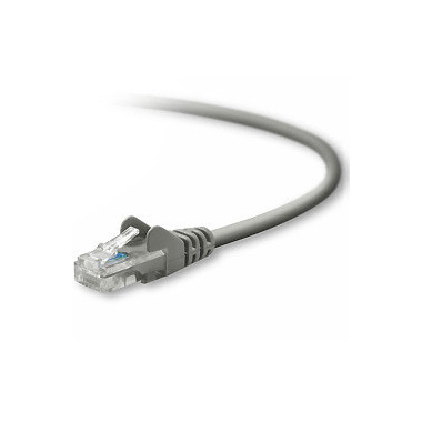 BELKIN CÃ¢ble RJ45 15m UTP CAT5 MoulÃ©