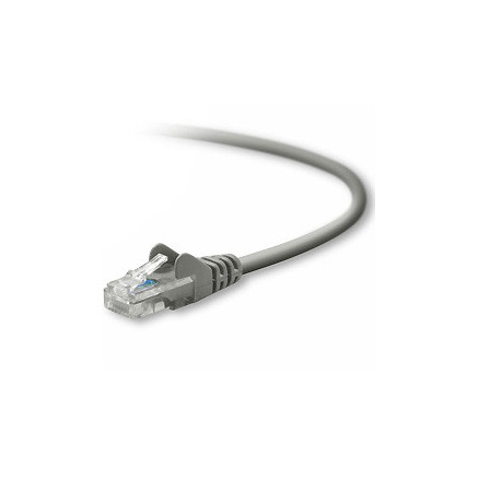 BELKIN CÃ¢ble RJ45 1m UTP CAT5 MoulÃ© gris