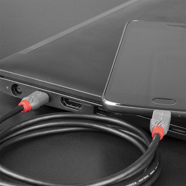 LINDY CÃ¢ble USB 2.0 Type C vers Micro-B