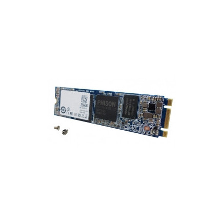 QNAP Flash memory 256Go mSATA