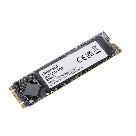 SSD Intenso 256GB TOP M.2 2280 SATA3 intern 3832440