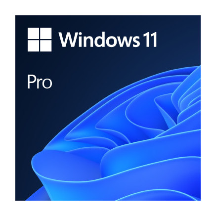 Microsoft Windows 11 Pro 64-bit deutsch (FQC-10534)