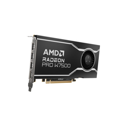 VGA AMD RADEON PRO W7500 8GB (100-300000078)