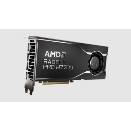 VGA AMD RADEON PRO W7700 16GB (100-300000006)
