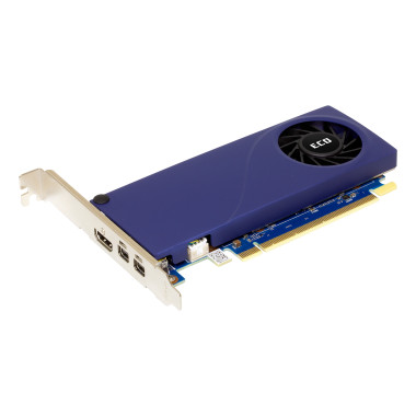 VGA SPARKLE Intel ARC A310 4GB ECO