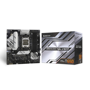Biostar B650M-Silver (AM5) (EU)