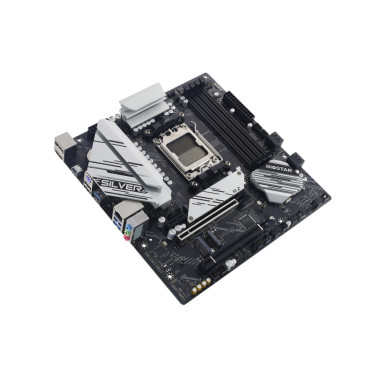 Biostar B650M-Silver (AM5) (EU)