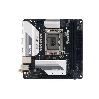 Biostar B660T-Silver (1700) (EU)