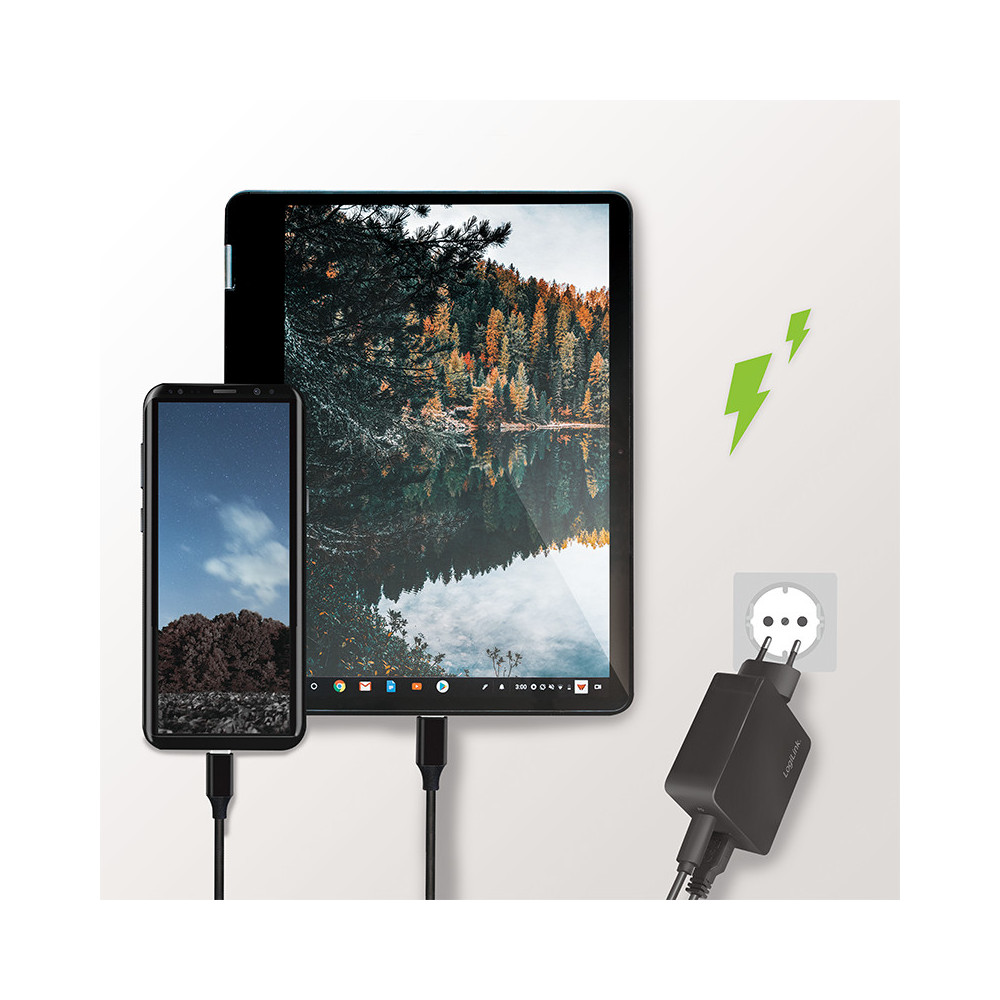 LogiLink Steckdosenadapter 1x USB 1x USB-C - PA0220