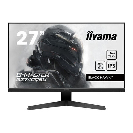 IIYEC036443 27p IPS 2560x1440 75Hz 1ms 250cd m² HDMI DP 2x2W 2xUSB Noir