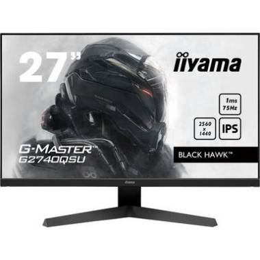 IIYEC036443 27p IPS 2560x1440 75Hz 1ms 250cd m² HDMI DP 2x2W 2xUSB Noir