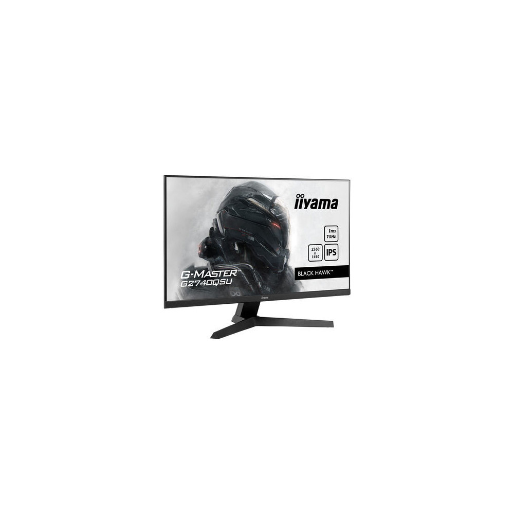 IIYEC036443 27p IPS 2560x1440 75Hz 1ms 250cd m² HDMI DP 2x2W 2xUSB Noir