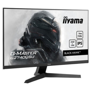 IIYEC036443 27p IPS 2560x1440 75Hz 1ms 250cd m² HDMI DP 2x2W 2xUSB Noir