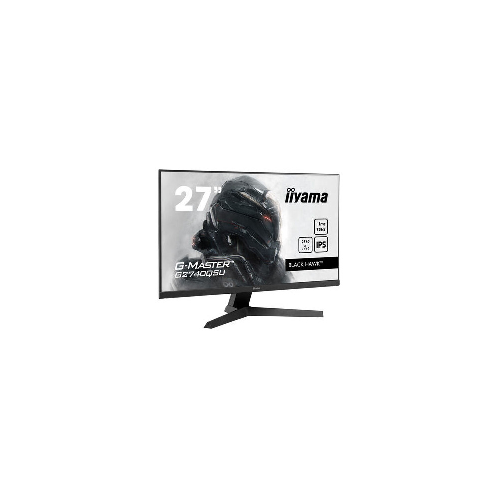 IIYEC036443 27p IPS 2560x1440 75Hz 1ms 250cd m² HDMI DP 2x2W 2xUSB Noir
