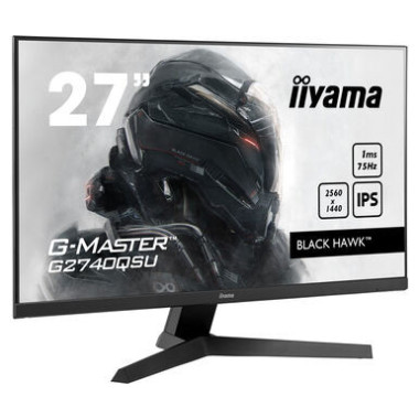 IIYEC036443 27p IPS 2560x1440 75Hz 1ms 250cd m² HDMI DP 2x2W 2xUSB Noir