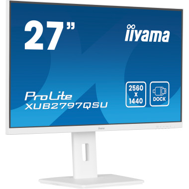 27p iPS 2560x1440 1ms 300cd m?