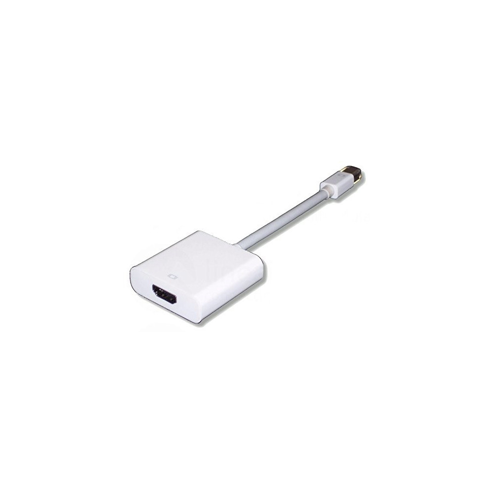 NONVI021666 Adaptateur Mini Displayport-VGA MAC 0.10m NONVI021666 Adaptateur Mini Displayport-VGA MAC 0.10m