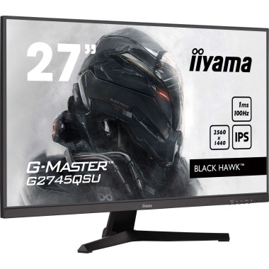 27p IPS 2560x1440 100Hz 1ms 30