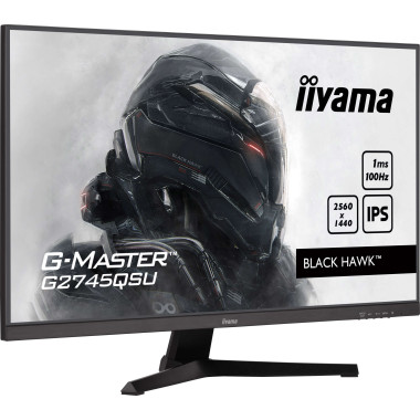 27p IPS 2560x1440 100Hz 1ms 30