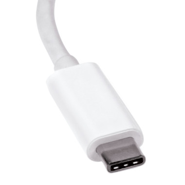 STAUS030185 USB C vers DisplayPort M F blanc