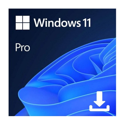 Image de W11P-ESD : MICLG038308 ESD - WINDOWS 11 PRO 64Bit FR DEMATERIALISE