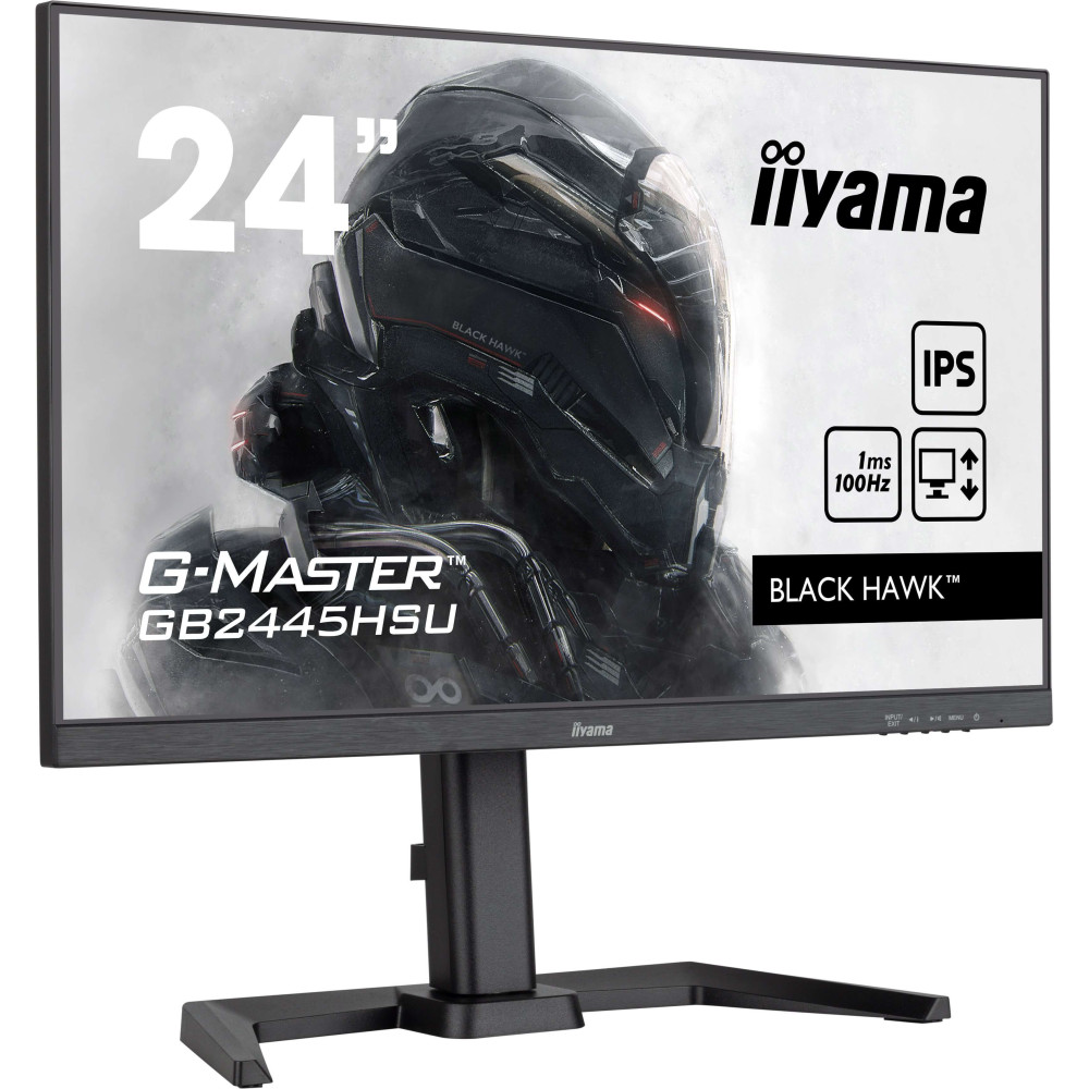 IIYEC045763 23.8p IPS FHD 1ms 300cd m² HDMI DP 2xUSB 2x2W Règlable Noir
