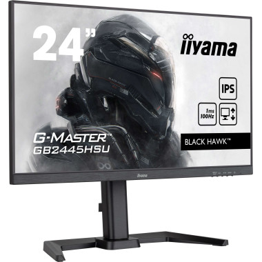 IIYEC045763 23.8p IPS FHD 1ms 300cd m² HDMI DP 2xUSB 2x2W Règlable Noir