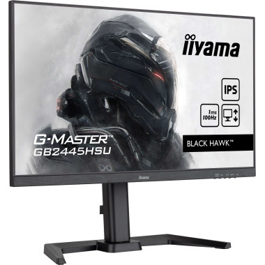 IIYEC045763 23.8p IPS FHD 1ms 300cd m² HDMI DP 2xUSB 2x2W Règlable Noir